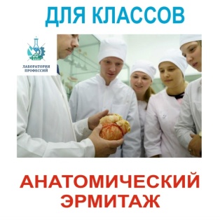 Экскурсия в Анатомический Эрмитаж