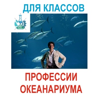 Кто работает в Океанариуме? Профессии Океанариума