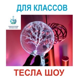 Тесла шоу в классе под заказ