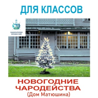 Новогодние Чародейства в дома Матюшина