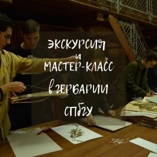 Экскурсия в Гербарий СПбГУ и мастер класс: свободная дата