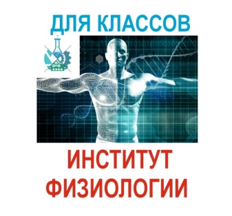 Экскурсия для классов хим био профиля и остальных: Институт Физиологии им. Павлова