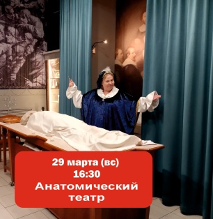 Анатомический Театр