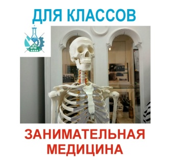 Занимательная медицина в Военно медицинском музее