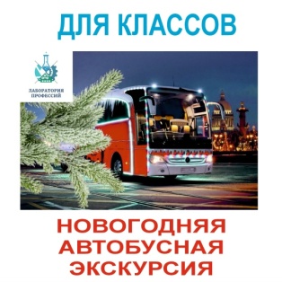 Новогодняя автобусная экскурсия!