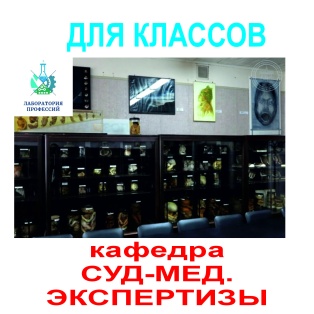 Экскурсия-хит на кафедру суд.-мед.экспертизы